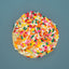 Best Sellers Cookie Bundle (GF)
